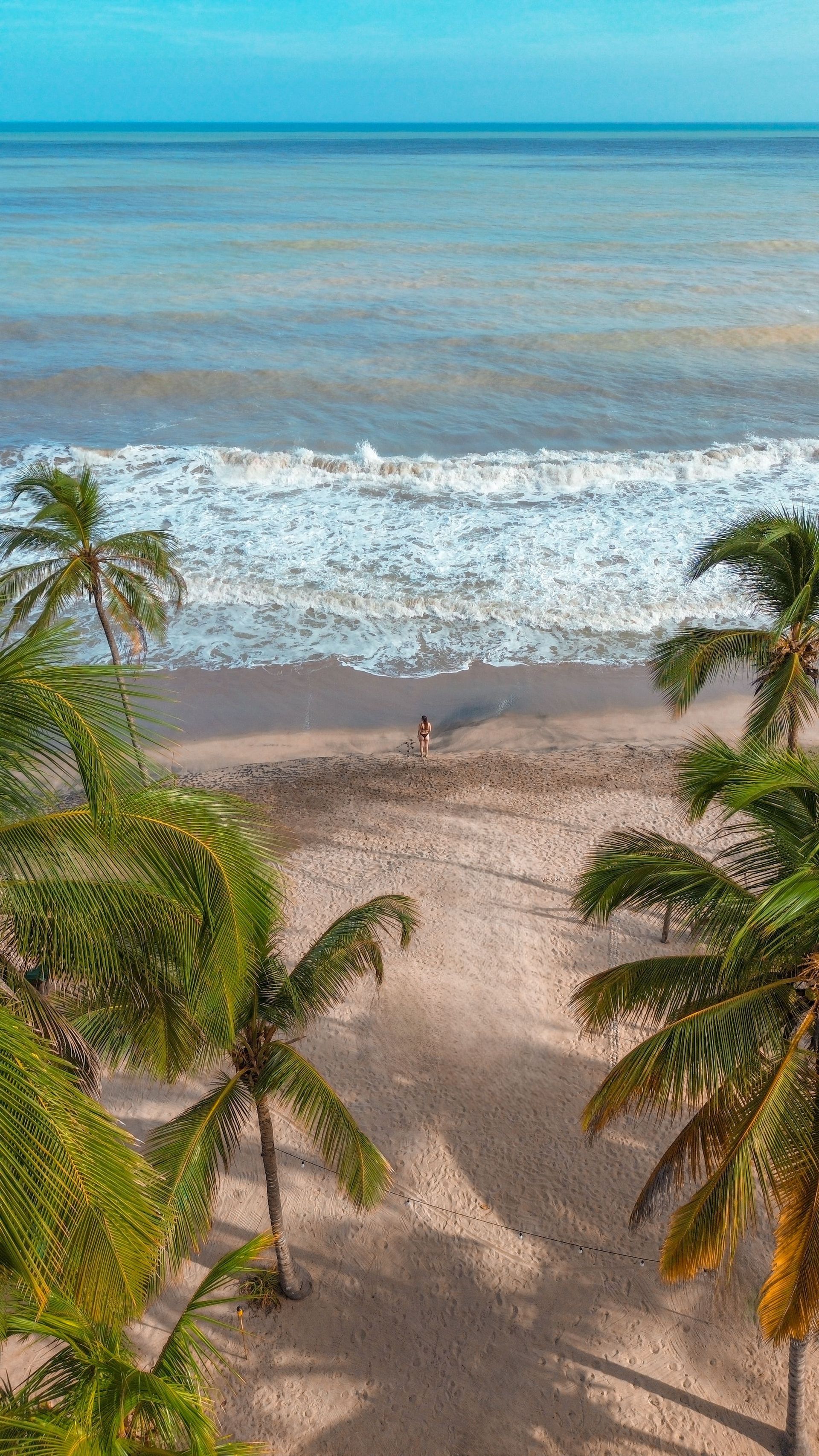 Palmeras enmarcan una playa de arena con olas suaves y agua turquesa bajo un cielo despejado.