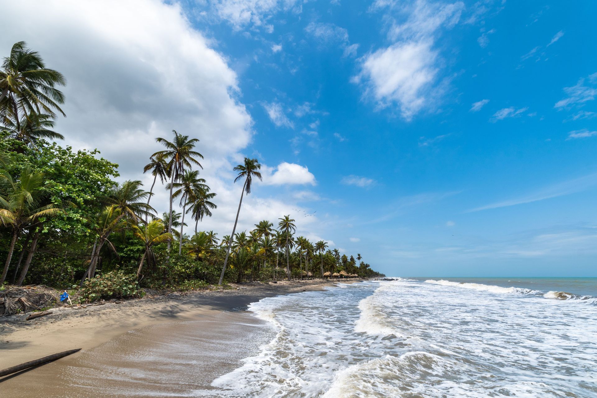 Playa tropical con palmeras, cielo azul y olas rompiendo en la orilla.