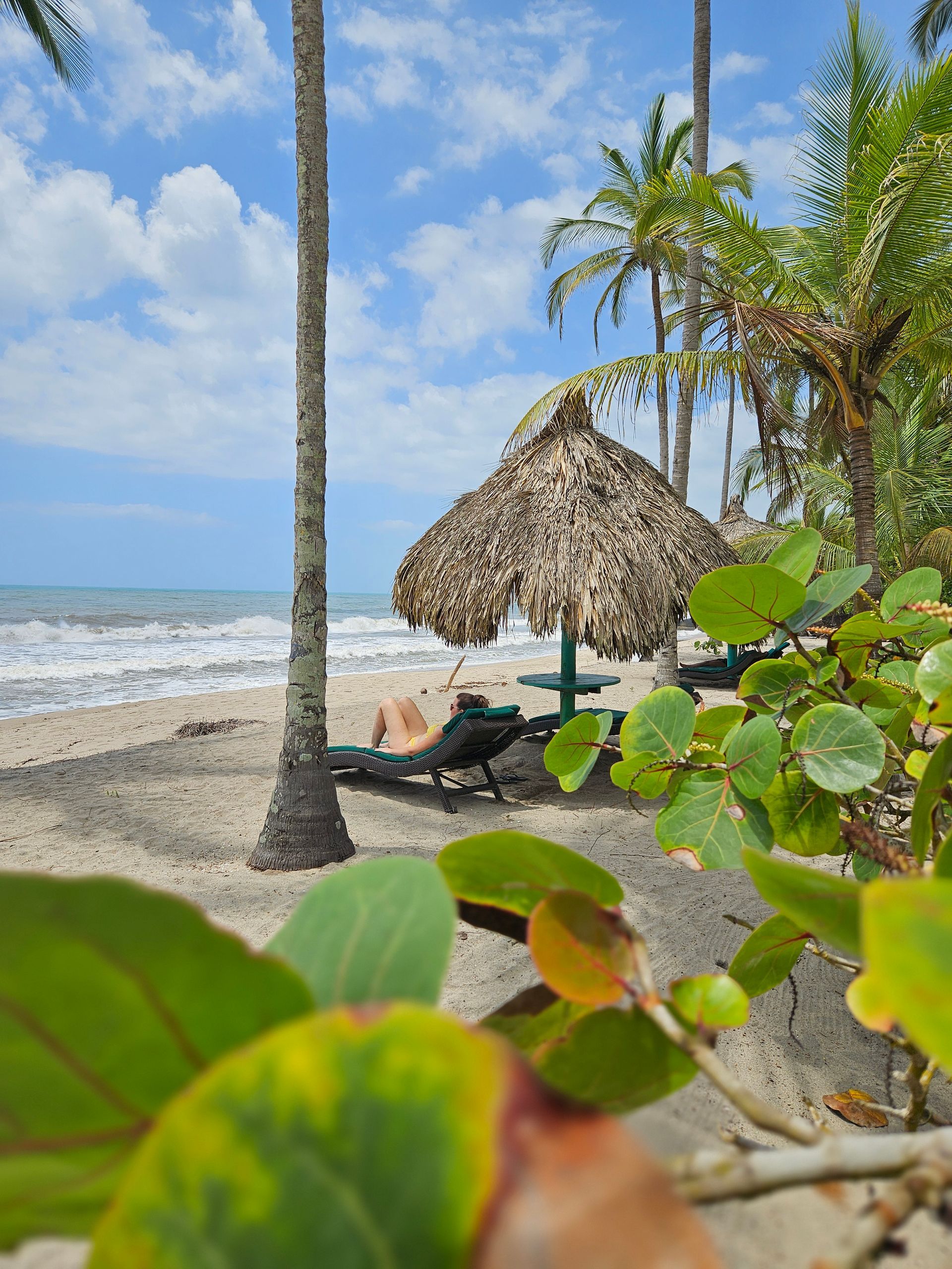 Playa tropical con palmeras, sombrilla de paja, olas del océano y exuberante vegetación en primer plano.