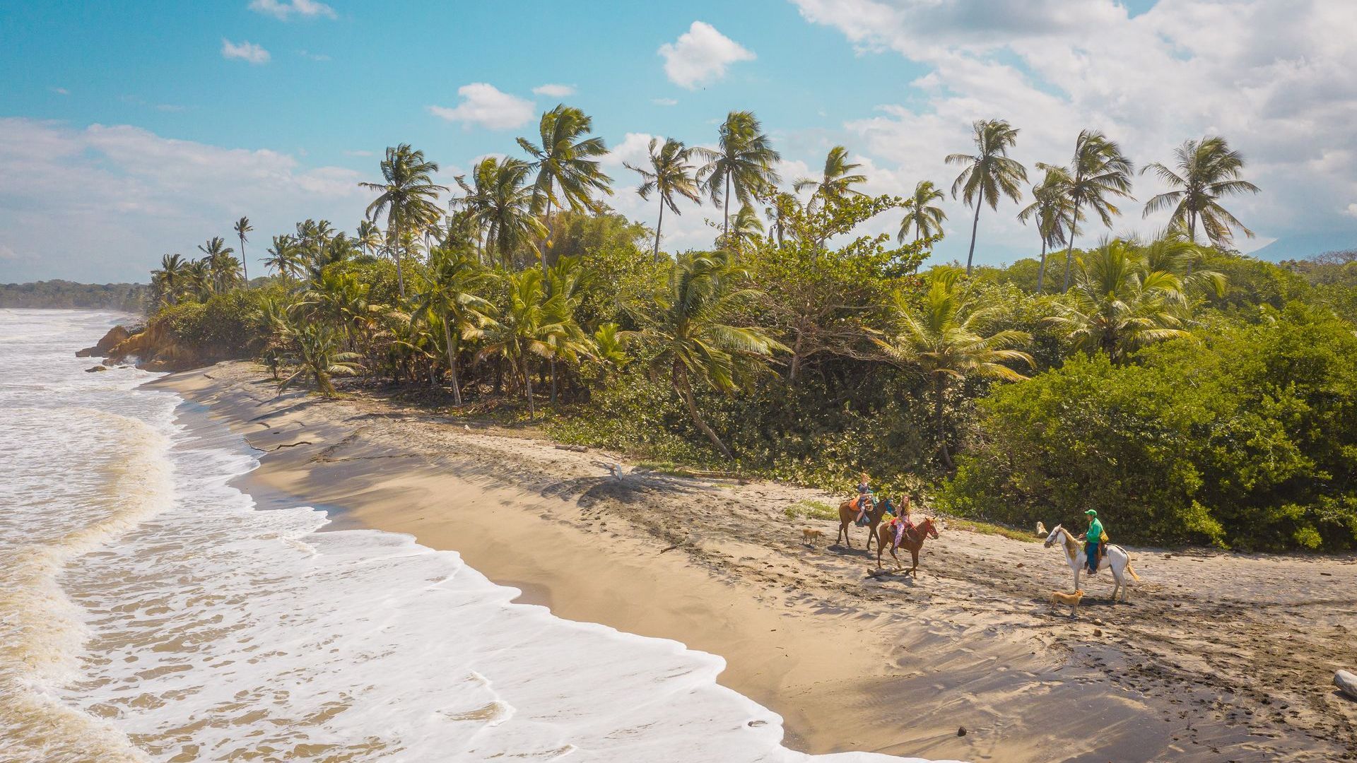 Una playa tropical con olas, palmeras y algunas personas caminando sobre la arena.