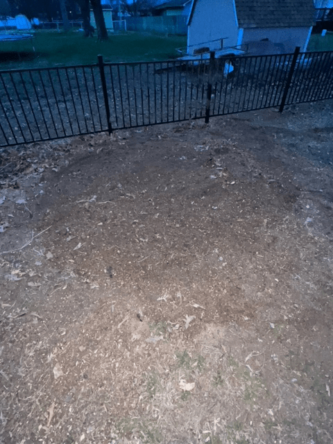 Tree Stump 03 — Scottsburg, IN — Stumps N Moore