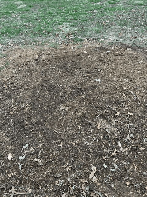 Tree Stump 05 — Scottsburg, IN — Stumps N Moore