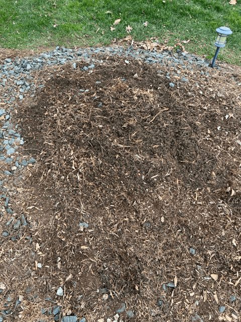 Tree Stump 04 — Scottsburg, IN — Stumps N Moore