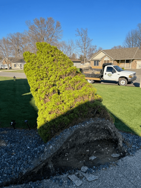 Wide Front Yard — Scottsburg, IN — Stumps N Moore