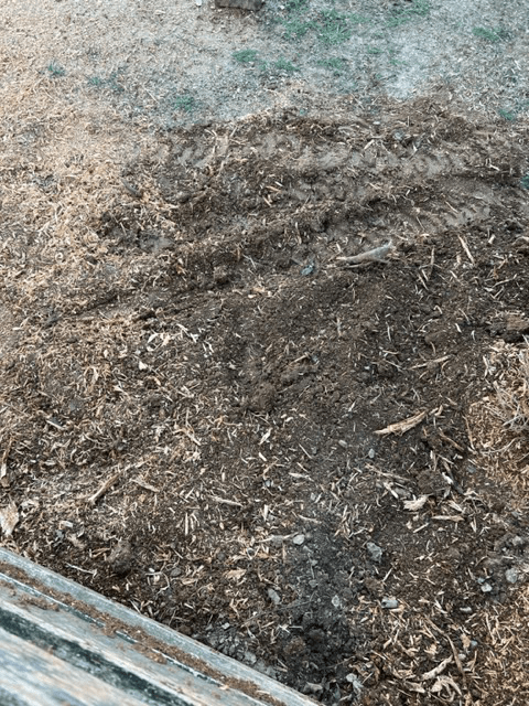 Tree Stump 10 — Scottsburg, IN — Stumps N Moore