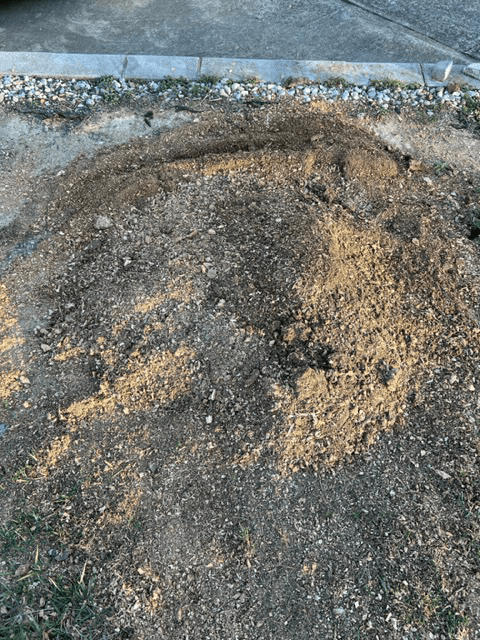 Tree Stump 12 — Scottsburg, IN — Stumps N Moore