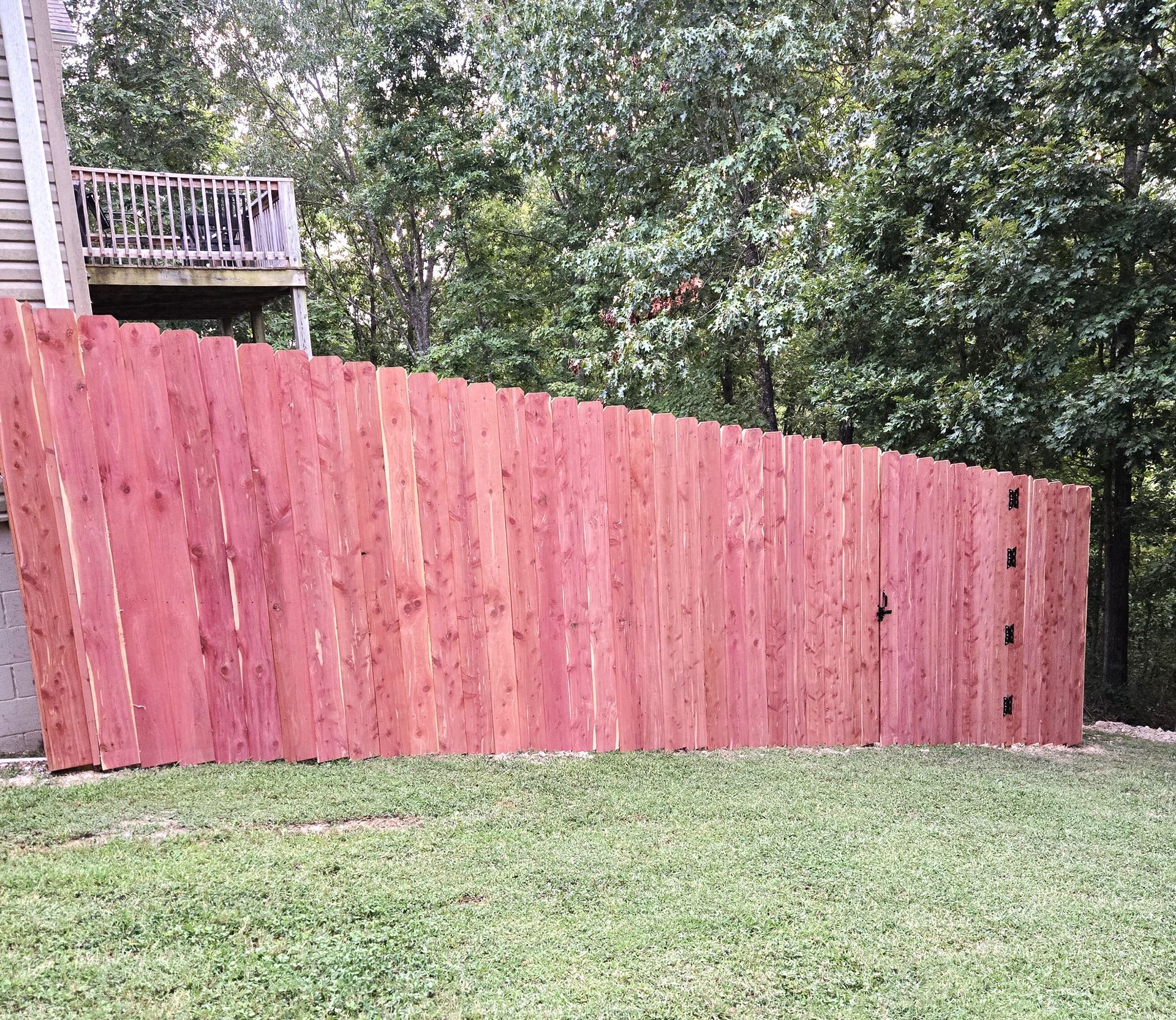8 foot cedar fence