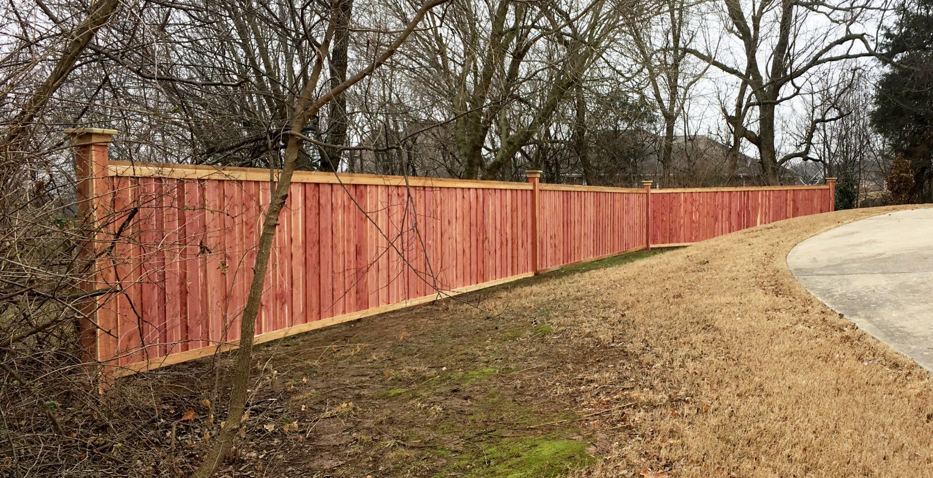 board to board 6 ft cedar fence 