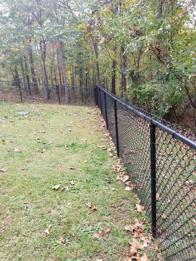 a black chain link fence surrounds a lush green field