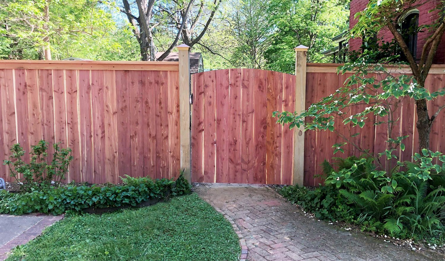 cedar six foot fence