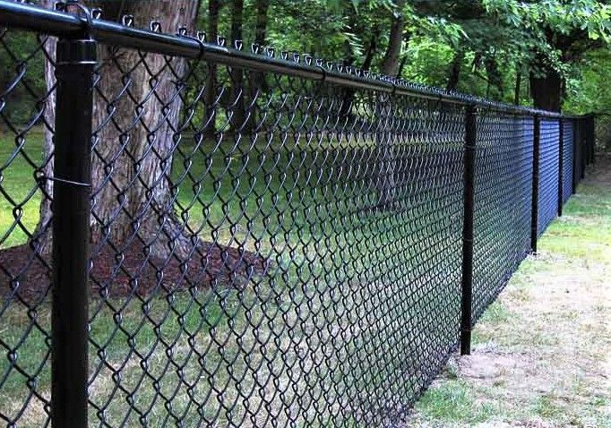 A black chain link fence is surrounded by trees and grass.