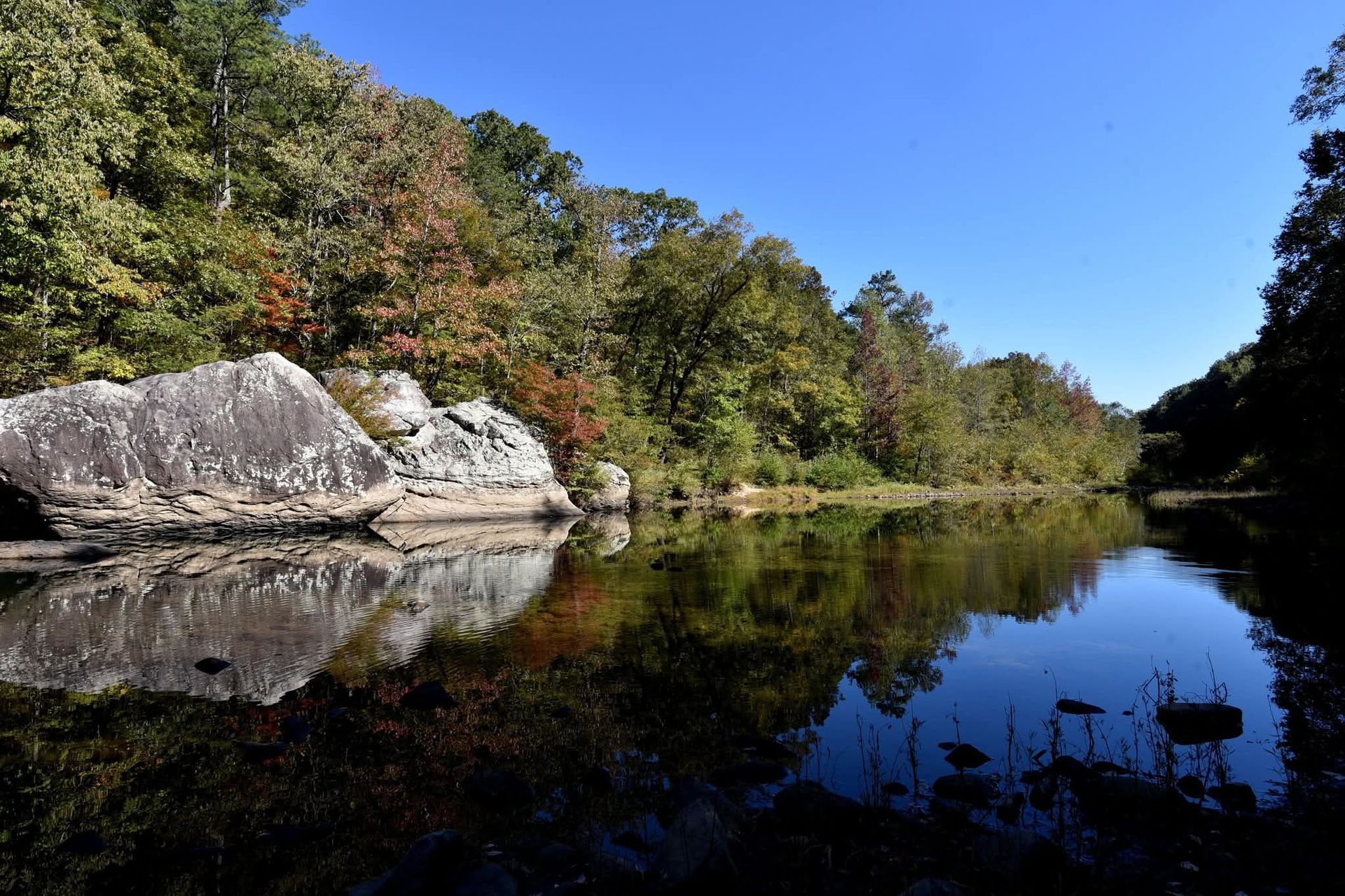 Still water reflecting trees and rocks, clear blue sky overhead.