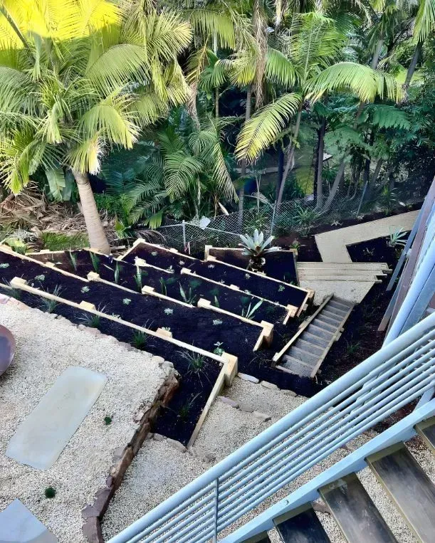 High-Angle View of A Sloped Backyard — Creative Landscapes Coffs Harbour in Korora, NSW