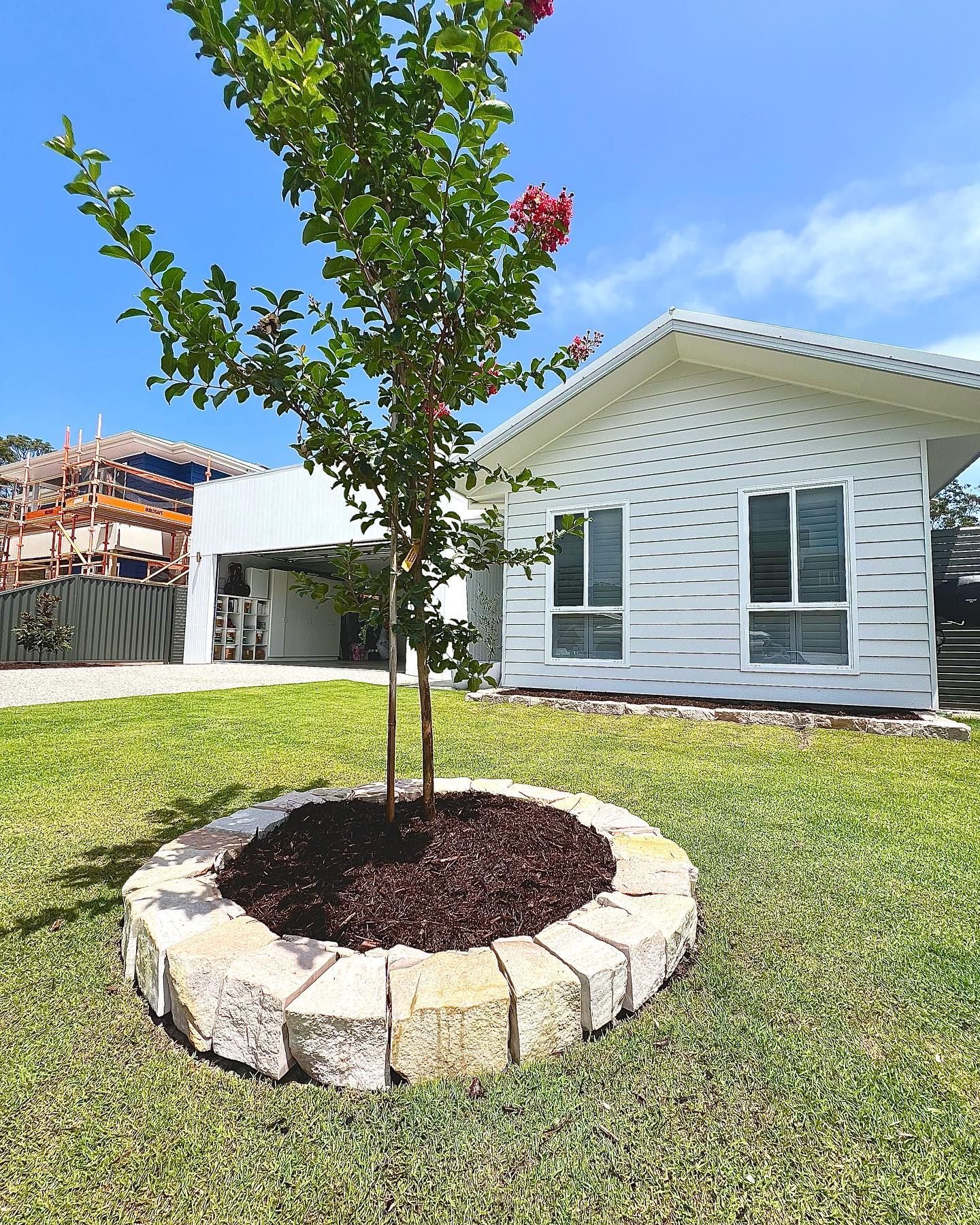 A Young Tree with Red Blossoms — Creative Landscapes Coffs Harbour in Moonee Beach, NSW