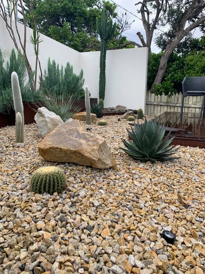 A Xeriscape Garden with Cacti, Succulents, and Rocks on Gravel — Creative Landscapes Coffs Harbour in Korora, NSW