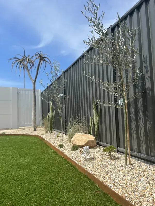 A Garden Bed with Pebbles, Cacti, and Young Trees  — Creative Landscapes Coffs Harbour in Korora, NSW