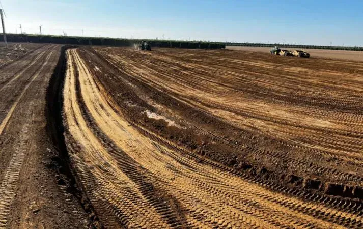 Plowed farm field with tire tracks stretching into the distance under a clear blue sky