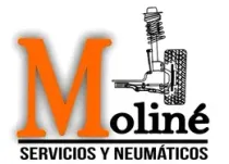 Moliné Servicios y Neumáticos