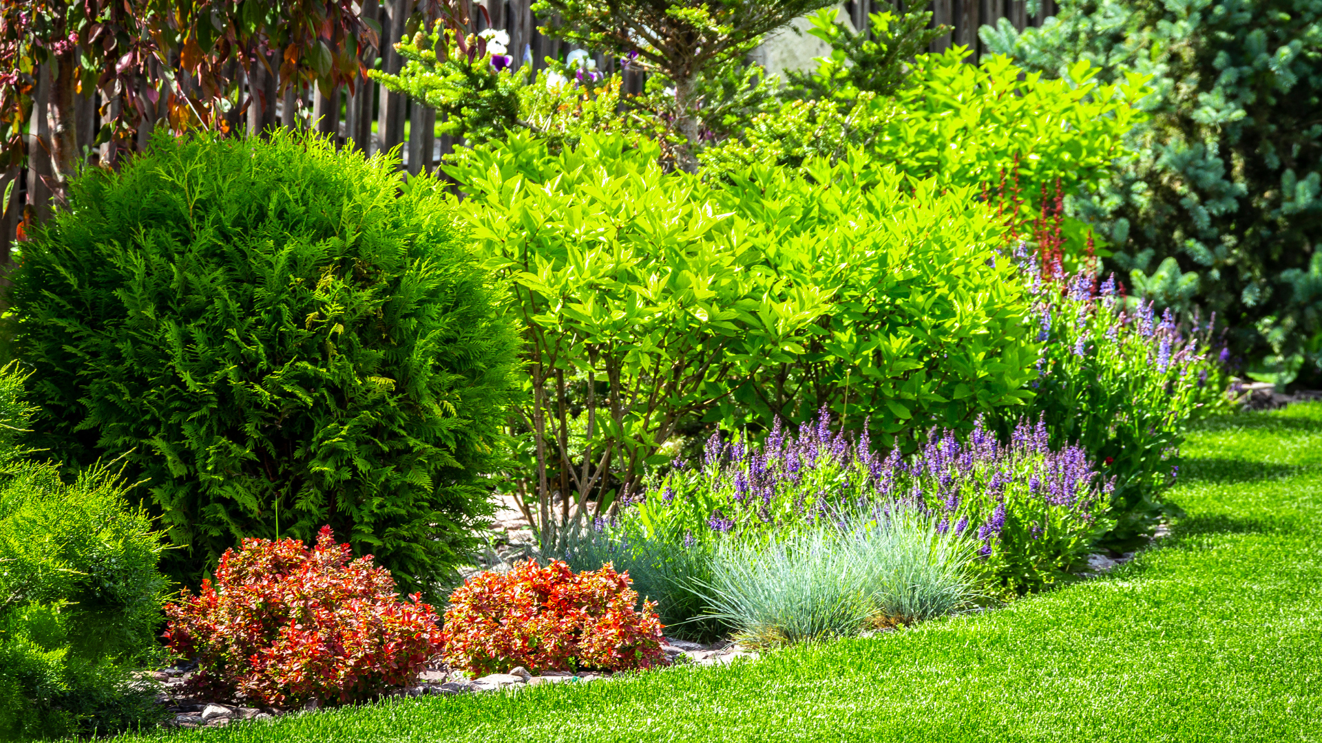 immagine giardino mediterraneo