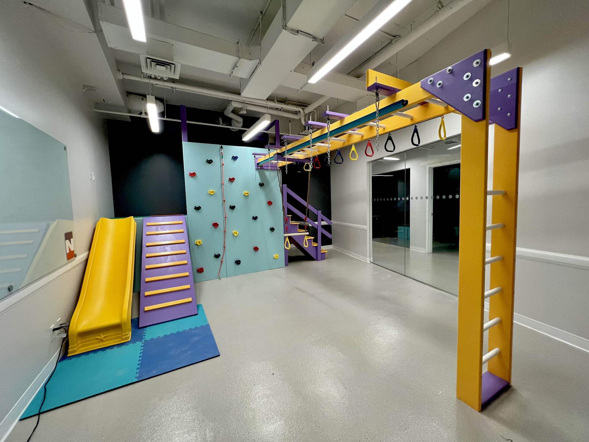 Commercial sensory gym with climbing wall, ladder, overhead bar, and padded indoor therapy equipment