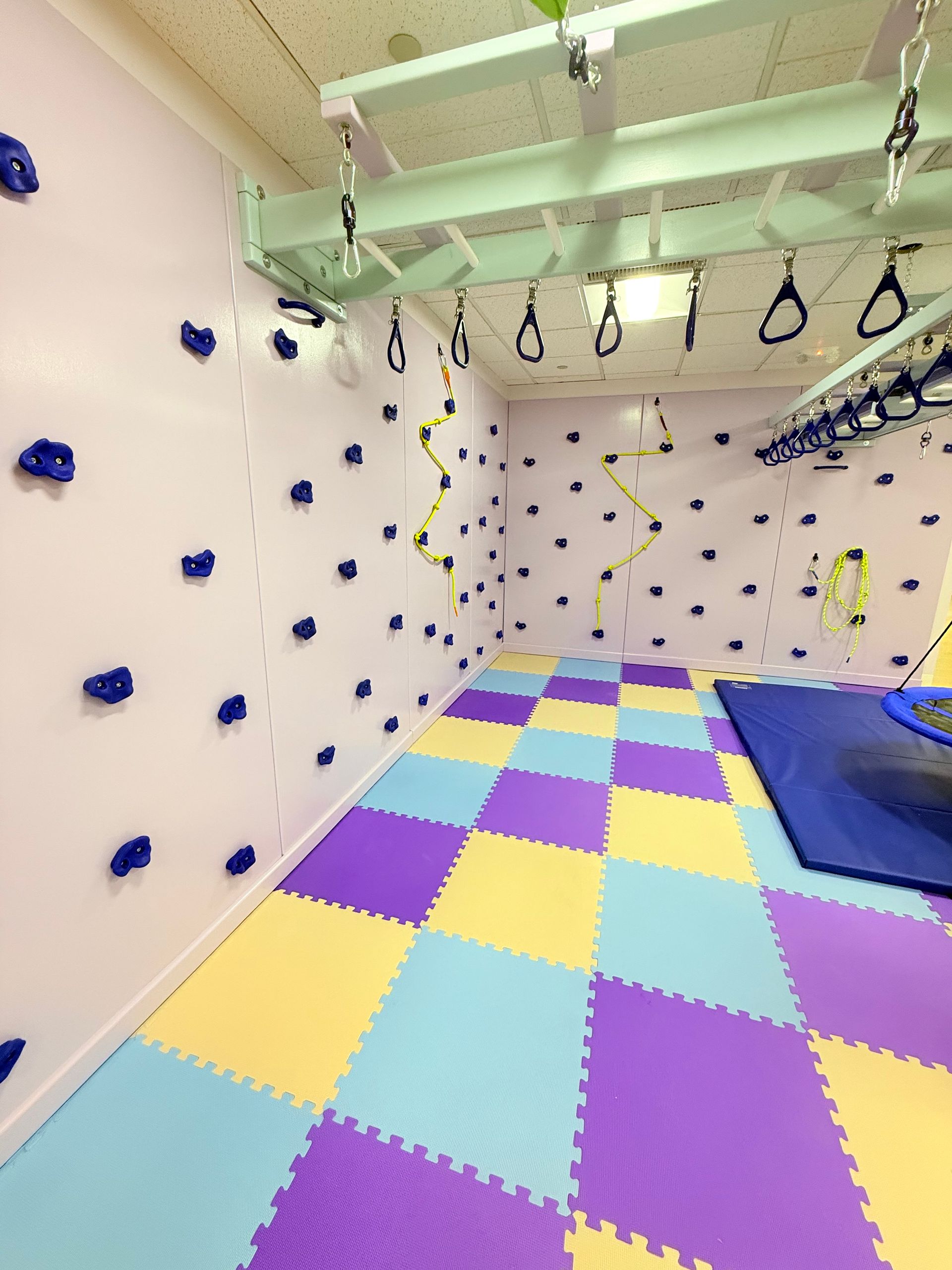 Custom vertical sensory gym rock wall