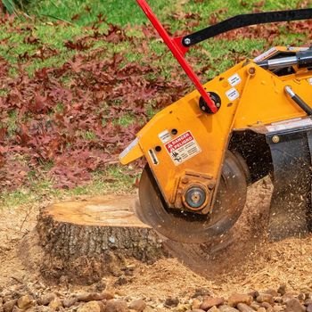 A stump grinder is cutting a tree stump in the grass.