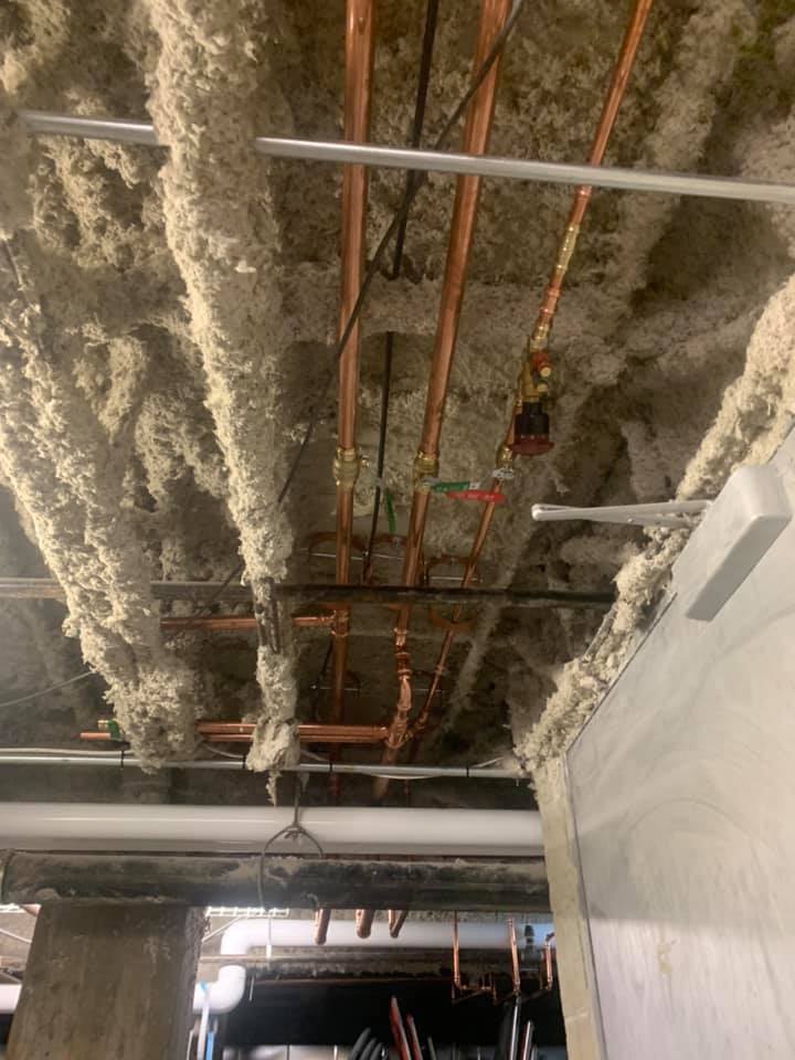 Un plafond avec beaucoup de tuyaux et de mousse dessus.
