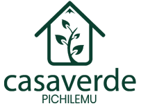 Logotipo para CasaVerde Pichilemu: forma de casa verde con planta en su interior, texto 