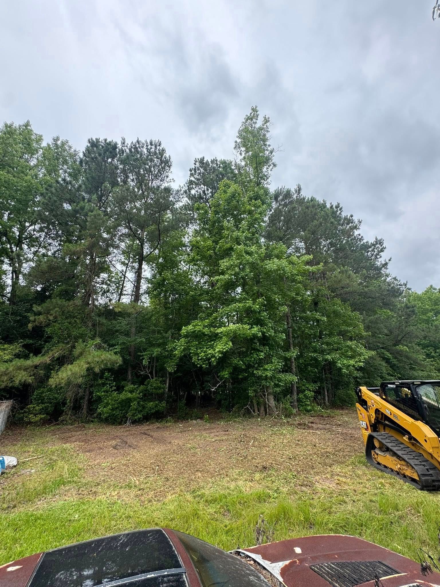 Tree line and brush under a cloudy sky, with part of a yellow machine visible at right.