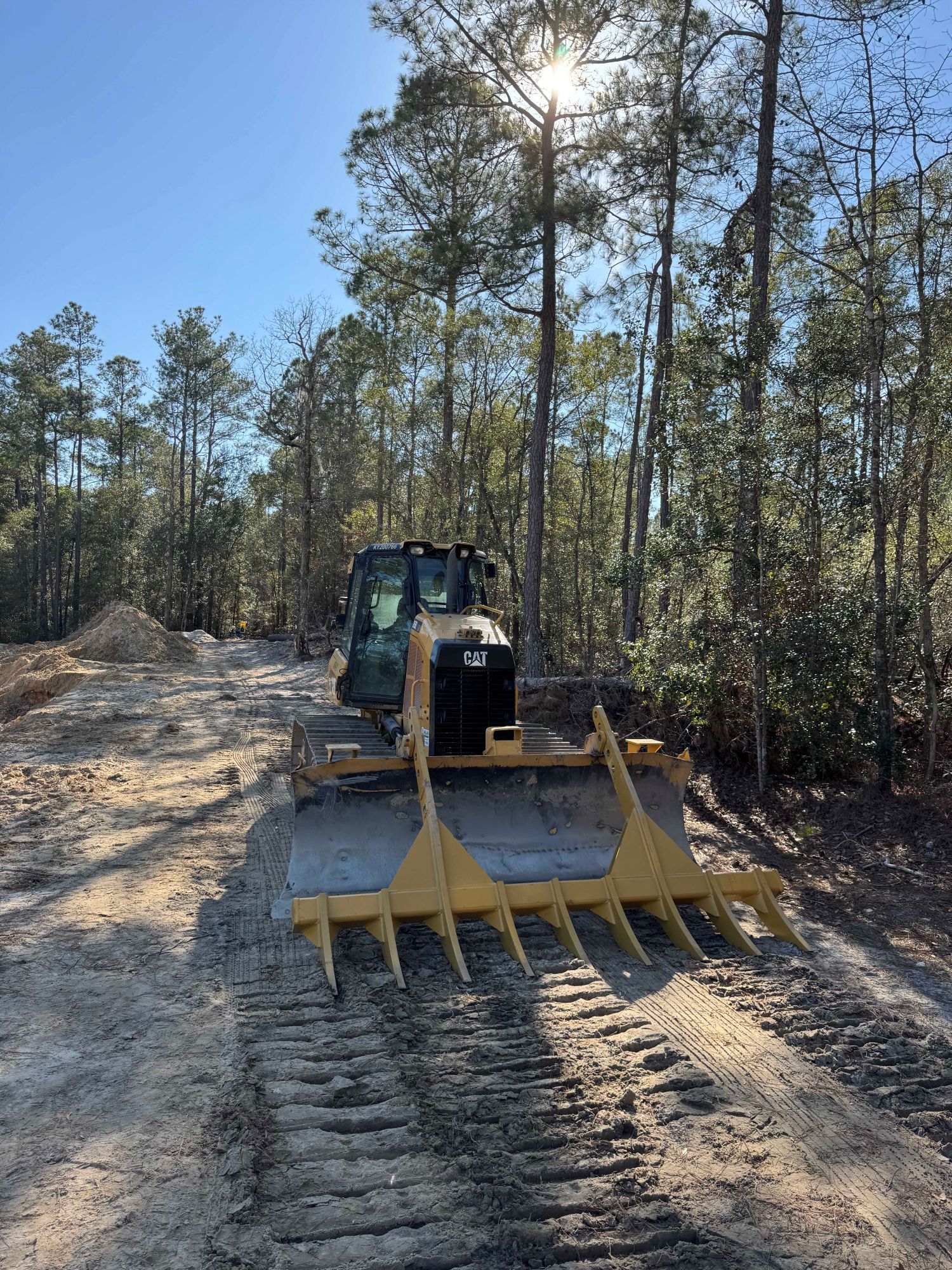 Yellow grader on a dirt road in a pine forest, with fresh tire tracks and sunlight overhead