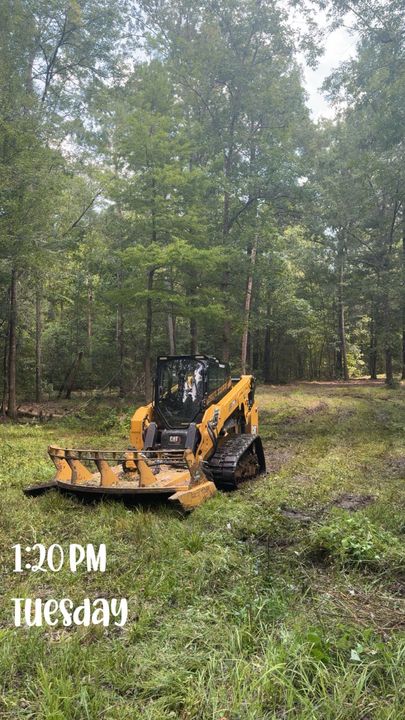 Yellow skid steer with mulching attachment clearing brush in a wooded area at 1:30 PM Tuesday
