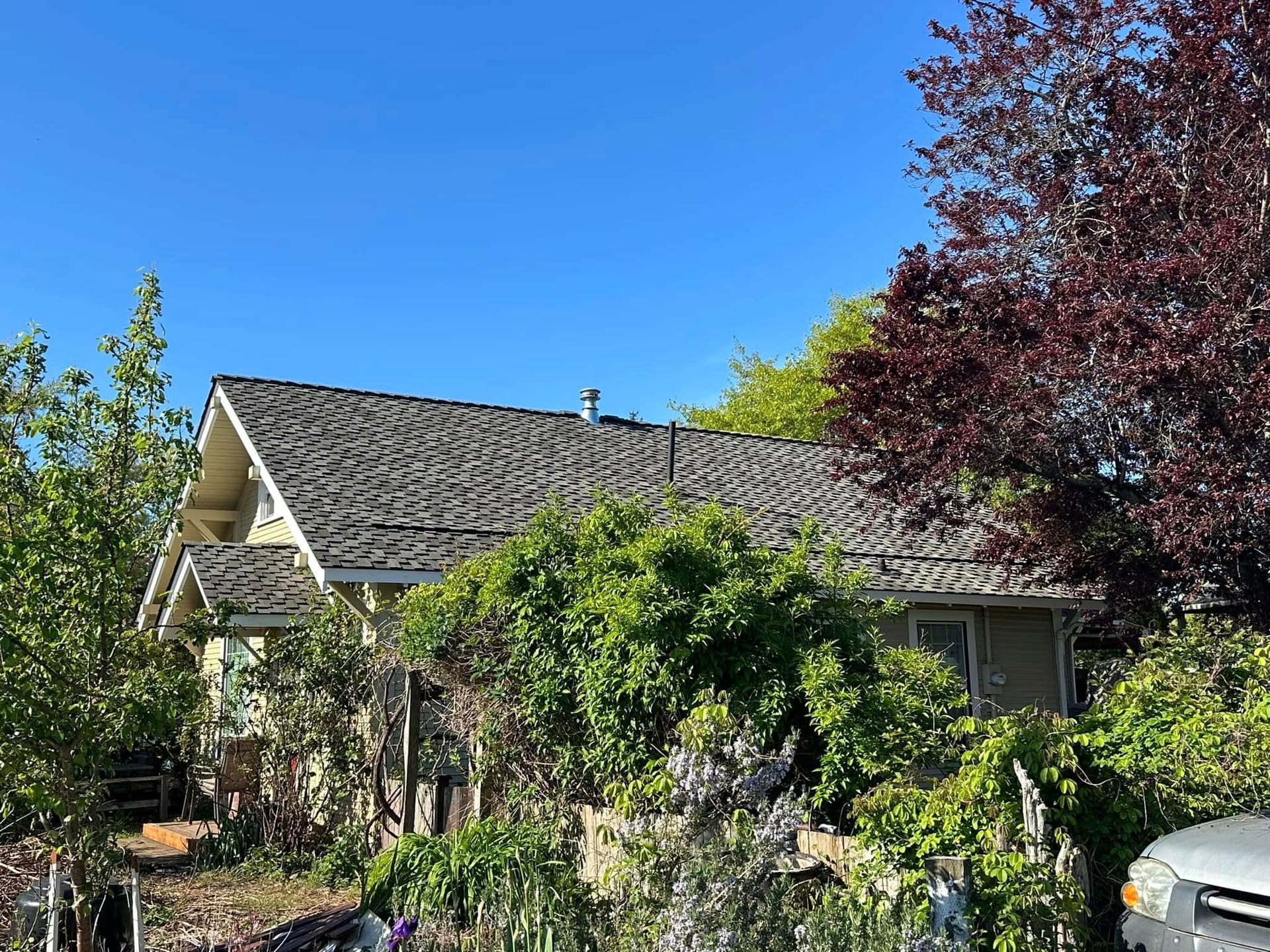 New roof
