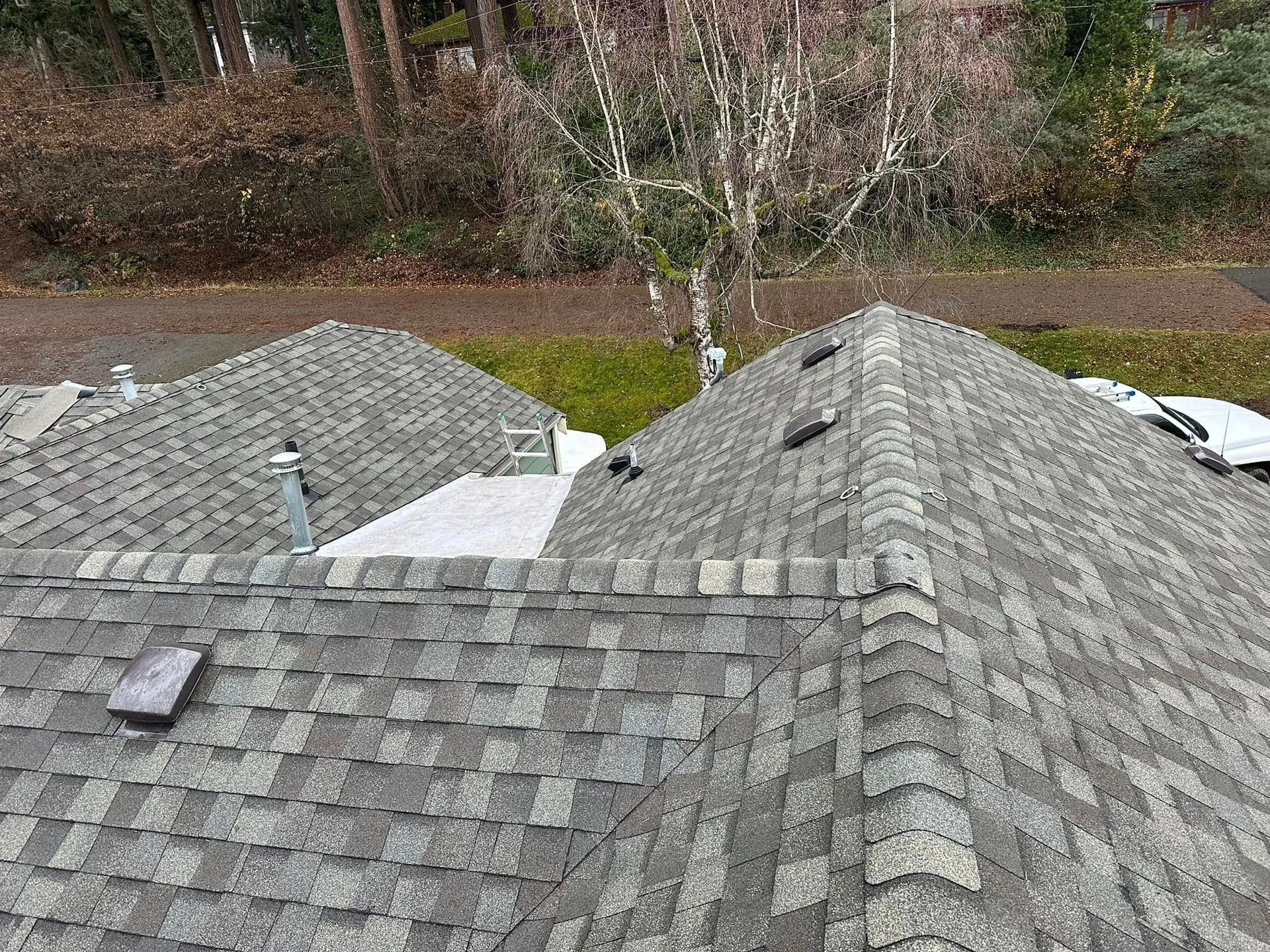 New roof