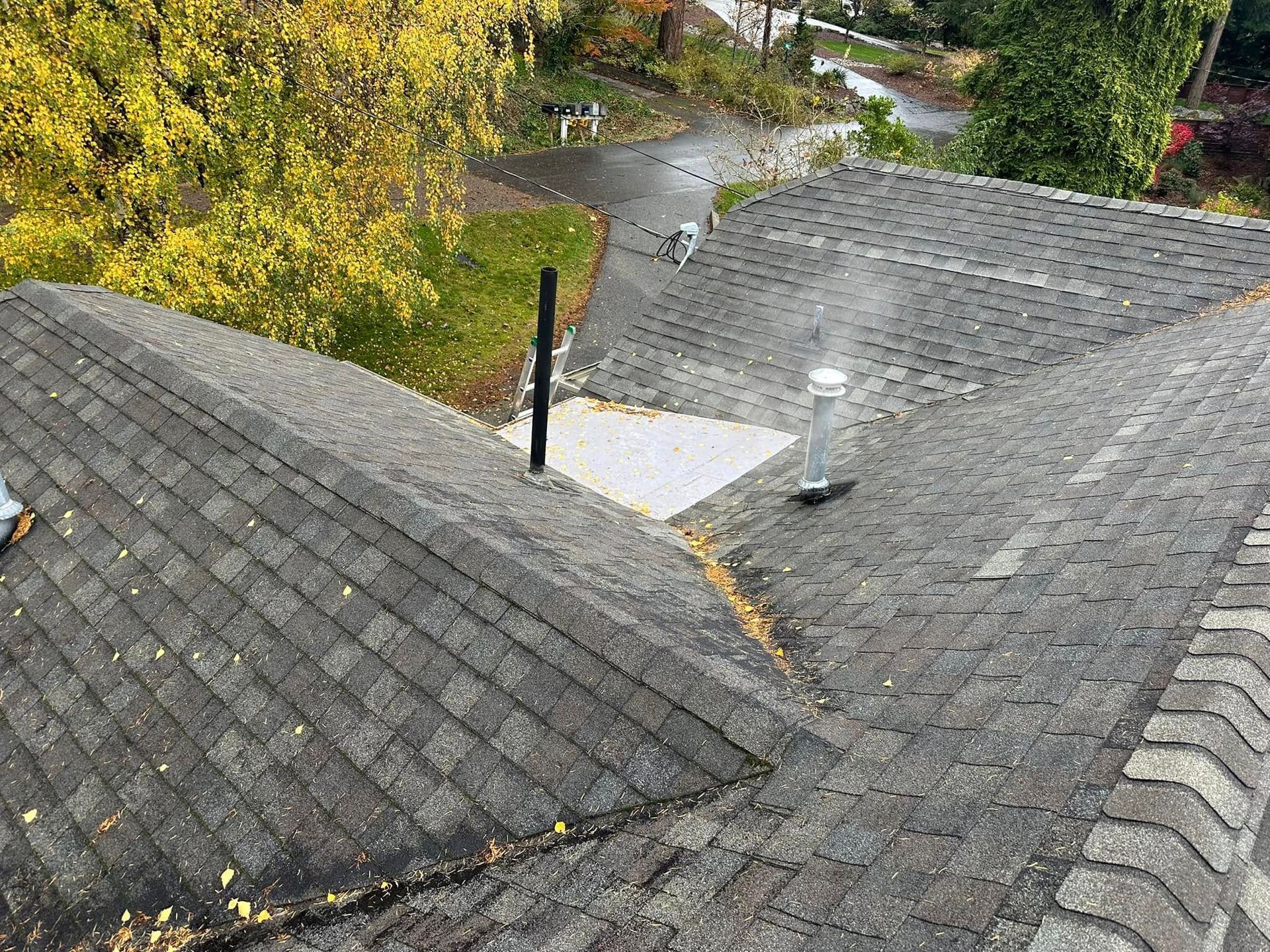 New roof