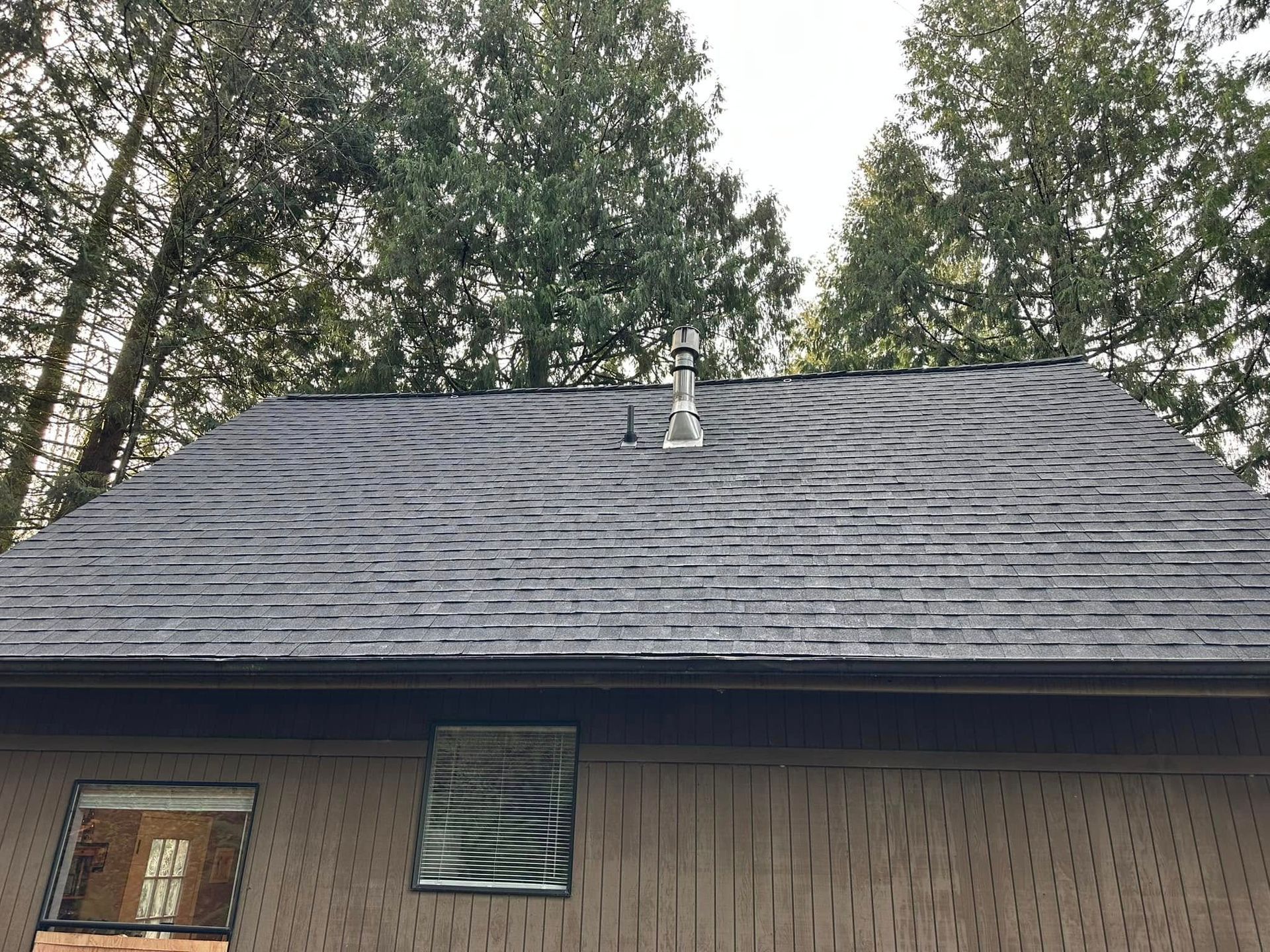 New roof