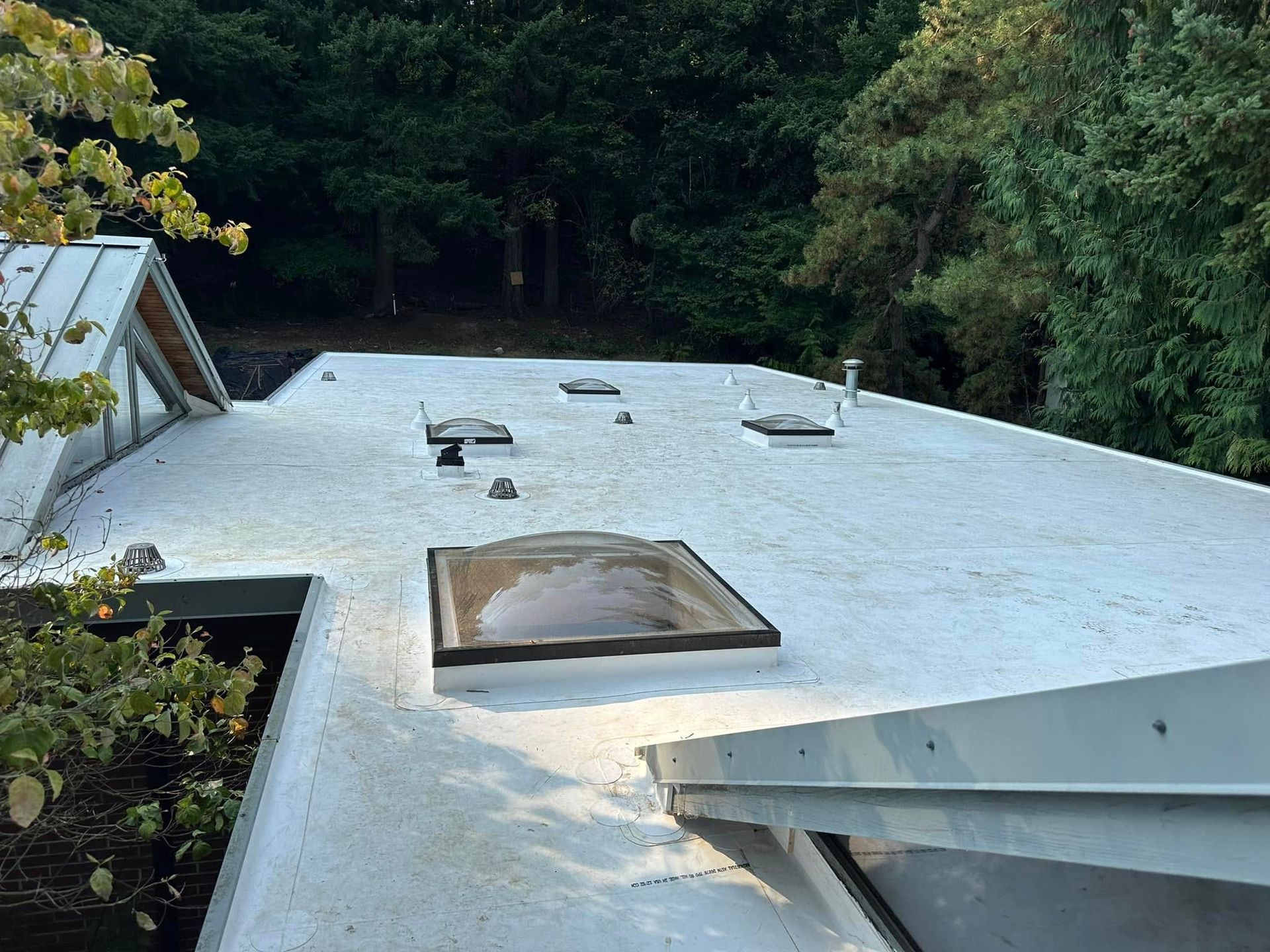 New roof