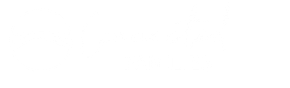 Connected Families logo
