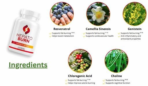 White supplement bottle beside ingredient icons and labels for resveratrol, camellia sinensis, green tea, ginger, and choline