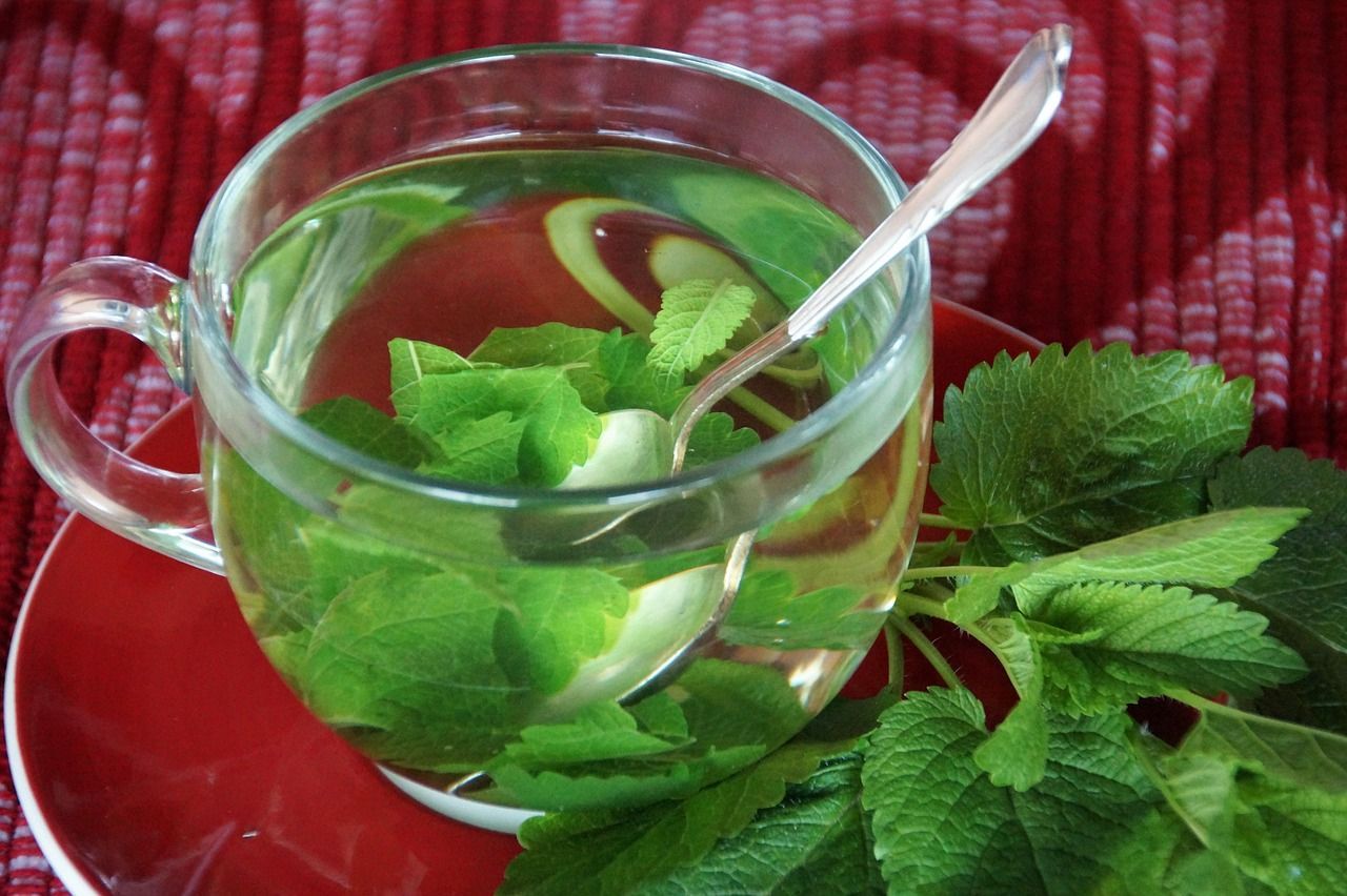 Glass cup of green herbal tea with mint leaves and a spoon on a red cloth background