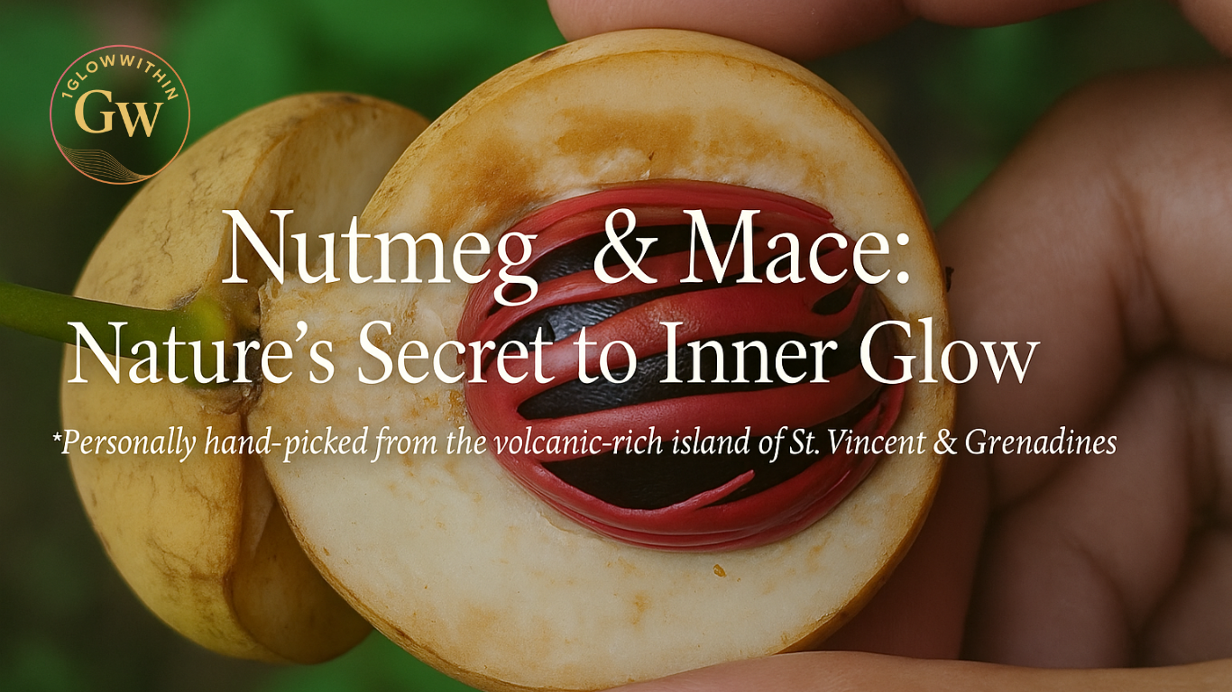 Nutmeg and mace fruit, cut open, held in hand, from St. Vincent & Grenadines; tan and red colors.