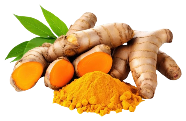 tumeric for uric acid