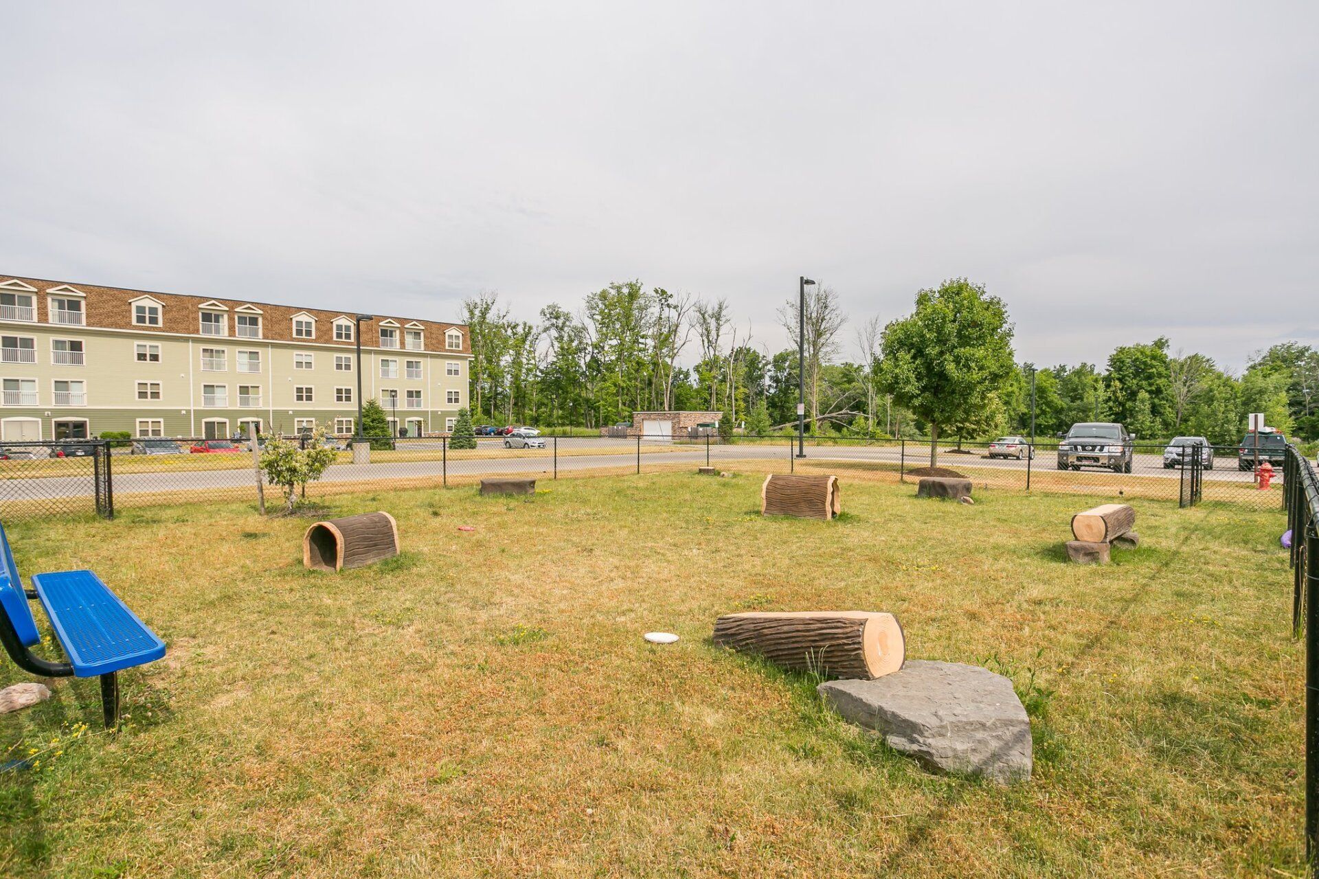 Dog park