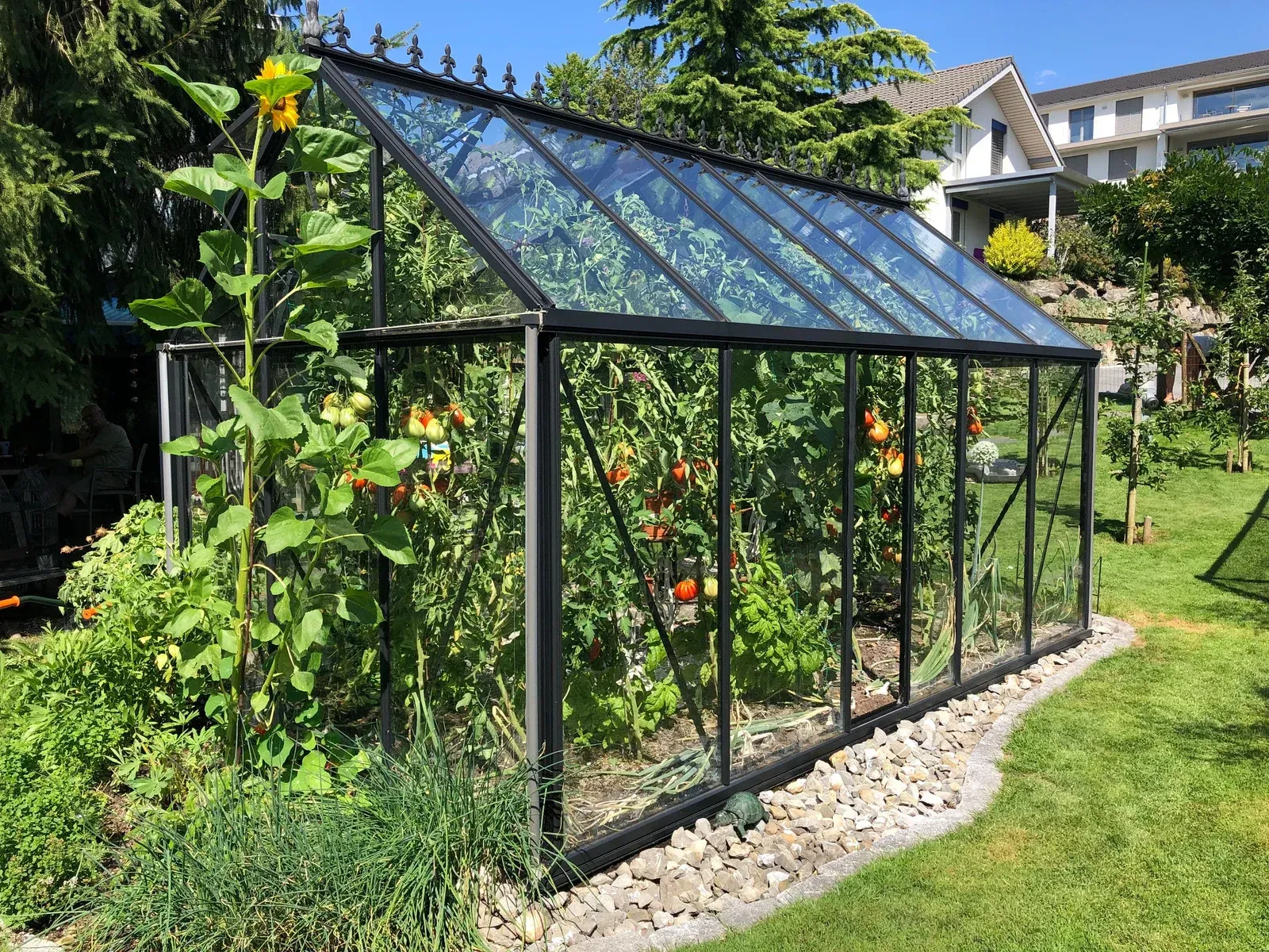 Greenhouse interior with plants, open door, watering can, and a pathway.