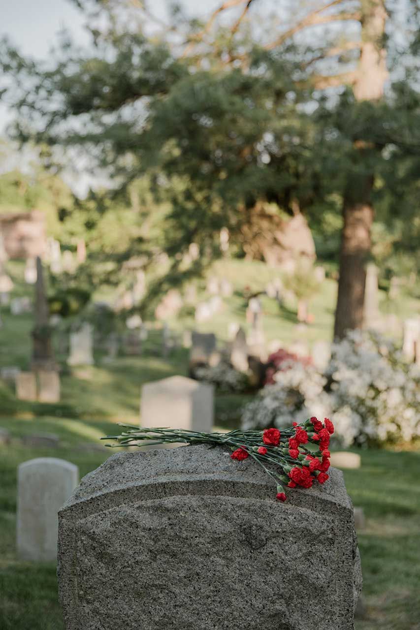 Red Carnation Flowers Resting On A Granite Headstone In A Peaceful Cemetery Surrounded By Trees And Memorial Markers