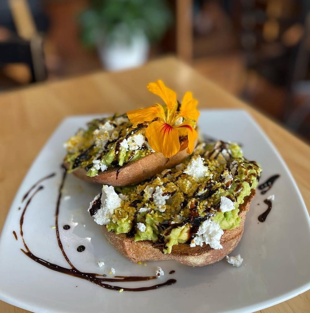 A Close Up of a Plate of Food With a Flower on Top — Swish Cafe in Ballina, NSW