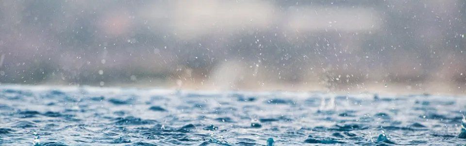 Tips for Moving in the Rain