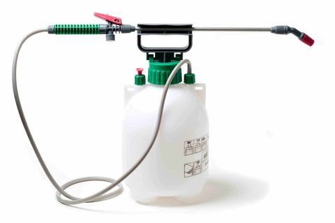 Pest Exterminator Near Me