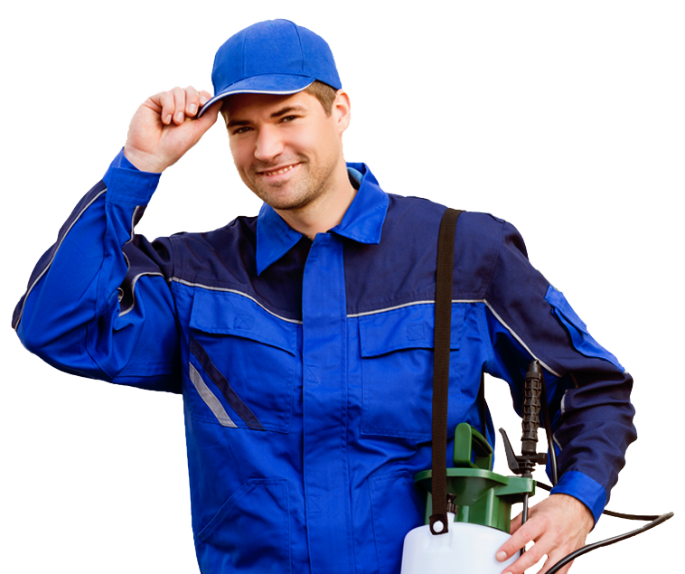 Pest Exterminator Near Me