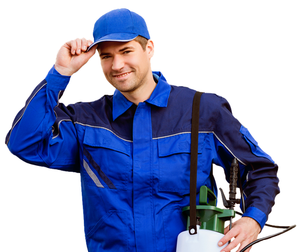 Pest Exterminator Near Me