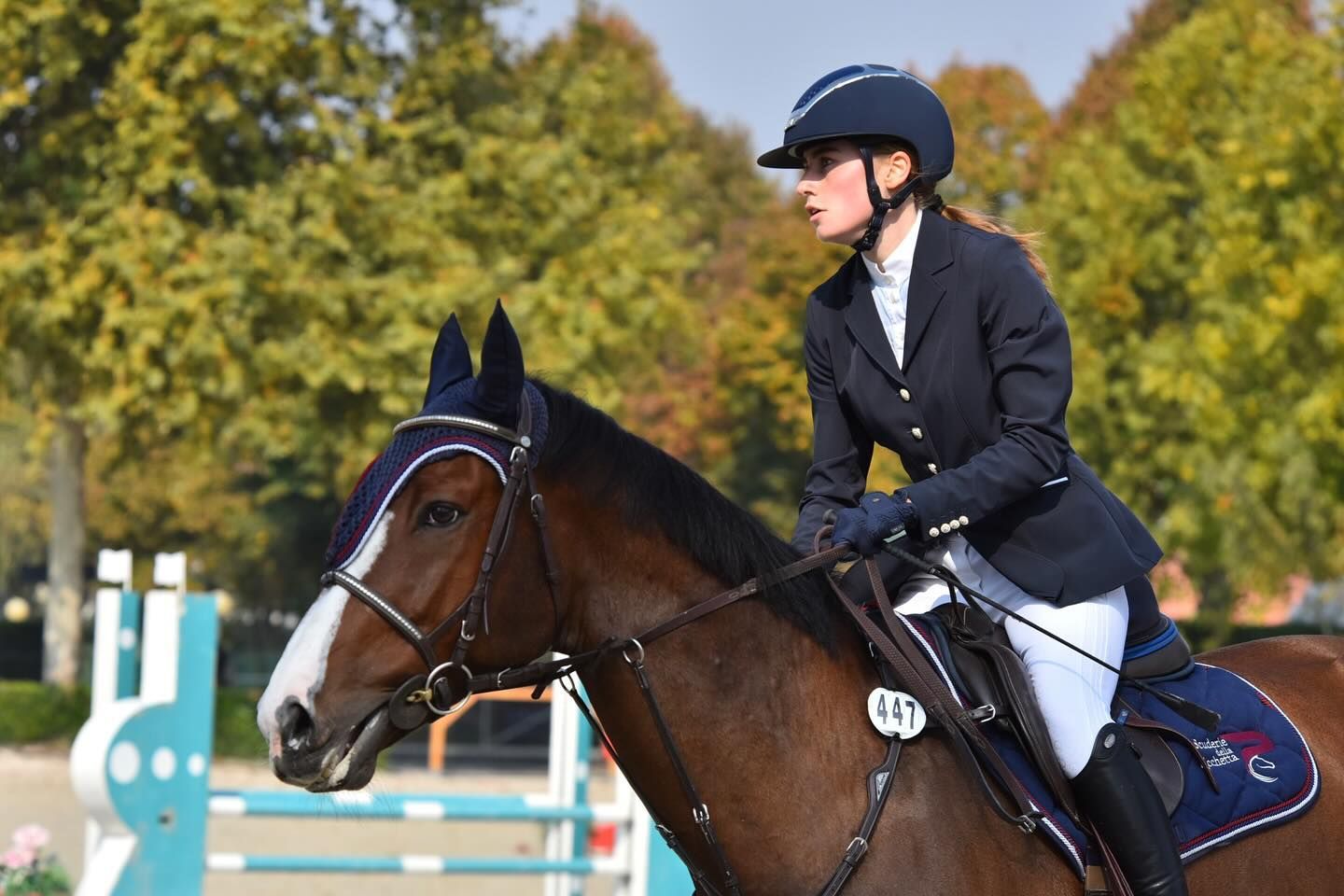 Cavaliere su un cavallo marrone durante una competizione all'aperto, indossa giacca blu, casco e guanti e guarda avanti.